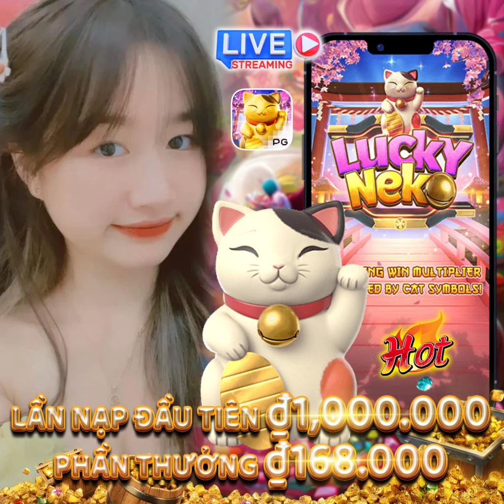 HOT51 apk mod casino and live stream